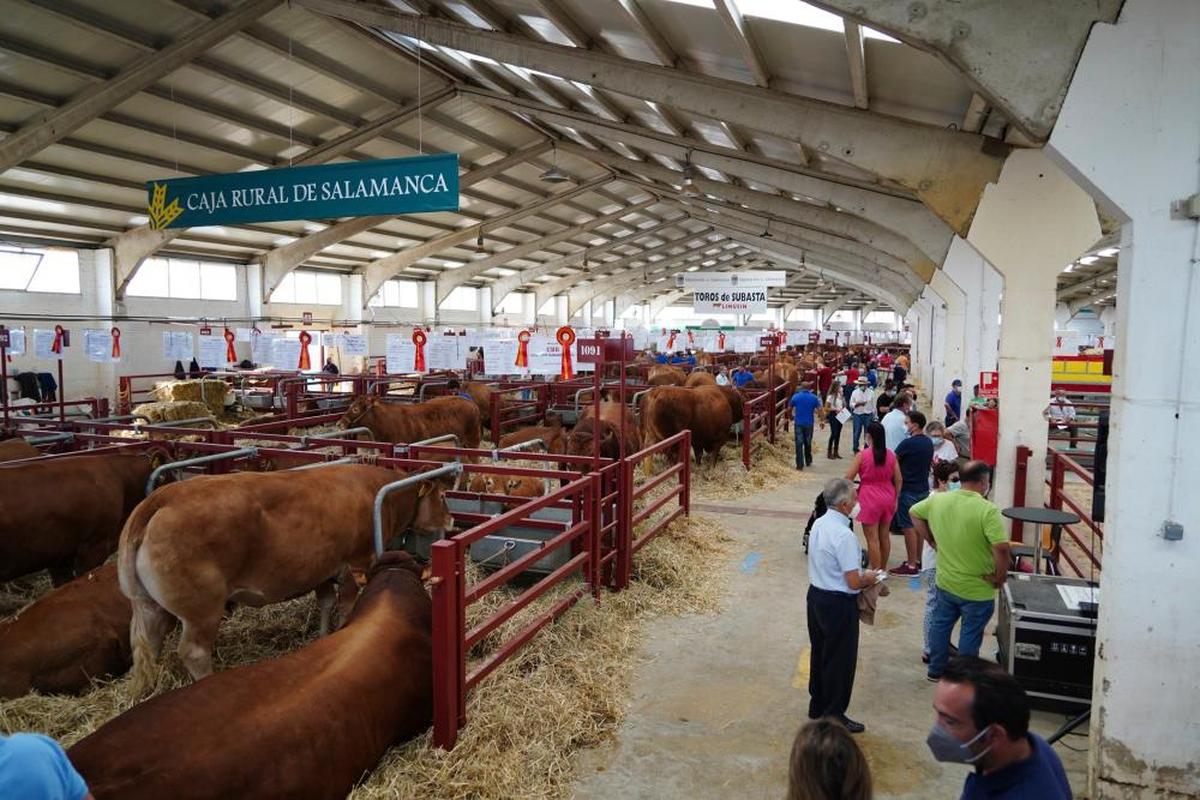 Feria de Salamaq de la pasada edición.