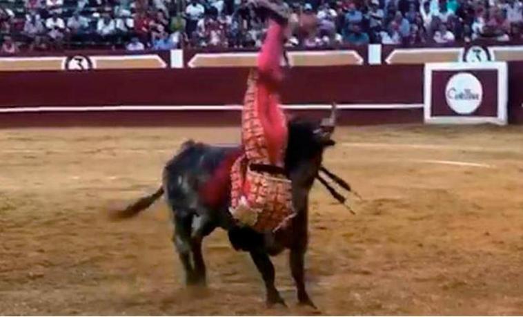 Manuel Diosleguarde, en el momento de la cogida.