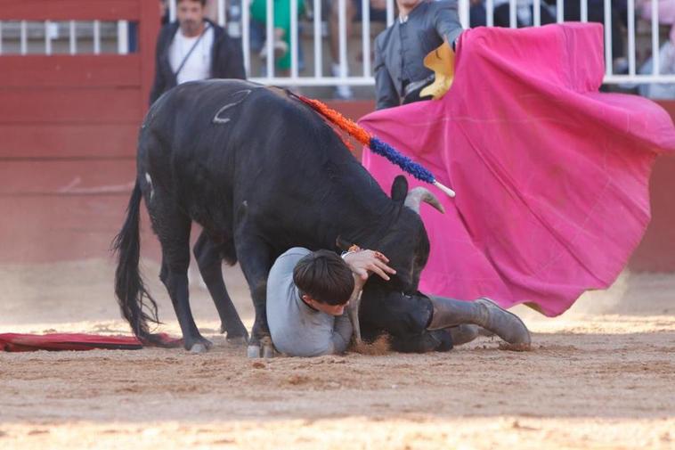 Cristiano Torres intenta protegerse del novillo.