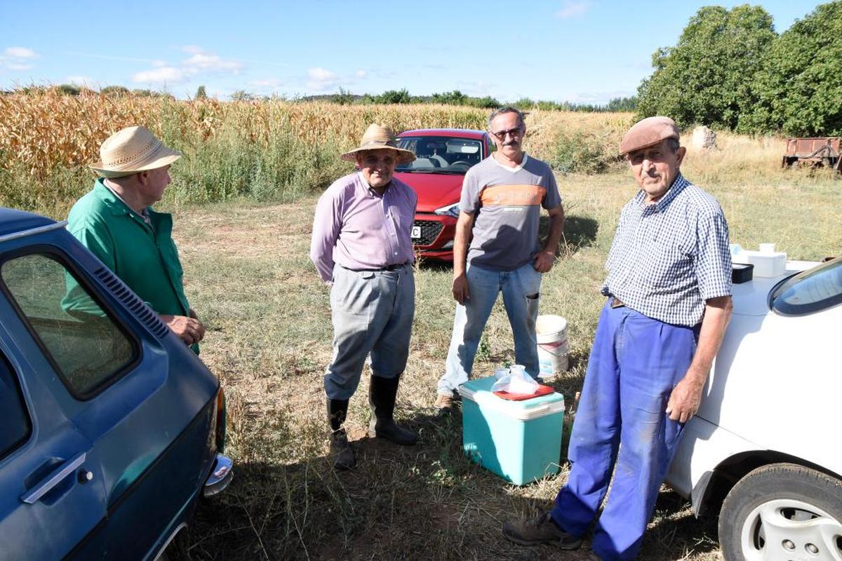 Regantes y agricultores en una parcela ayer en Ciudad Rodrigo.