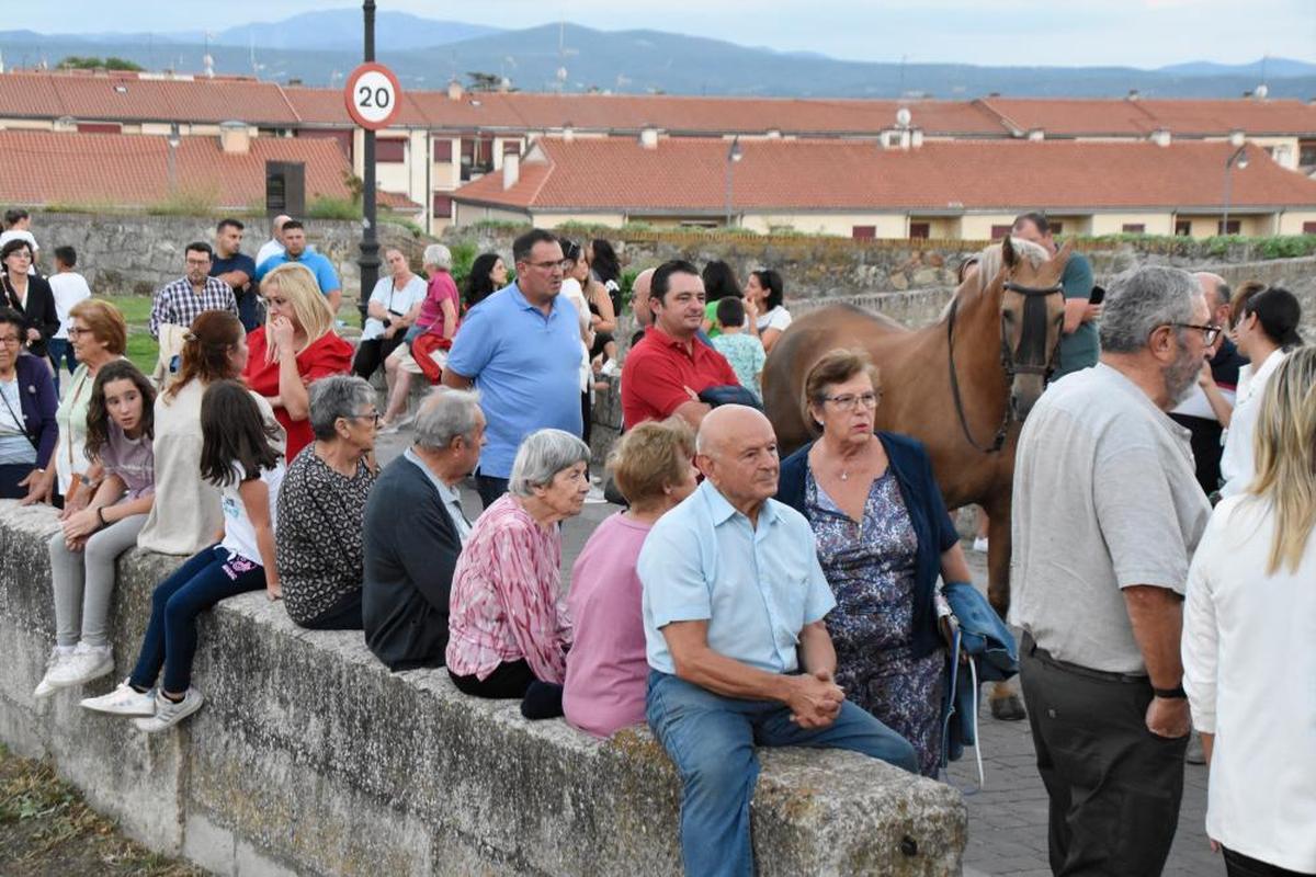 Caballos de competición entre el público mirobrigense. | CASAMAR