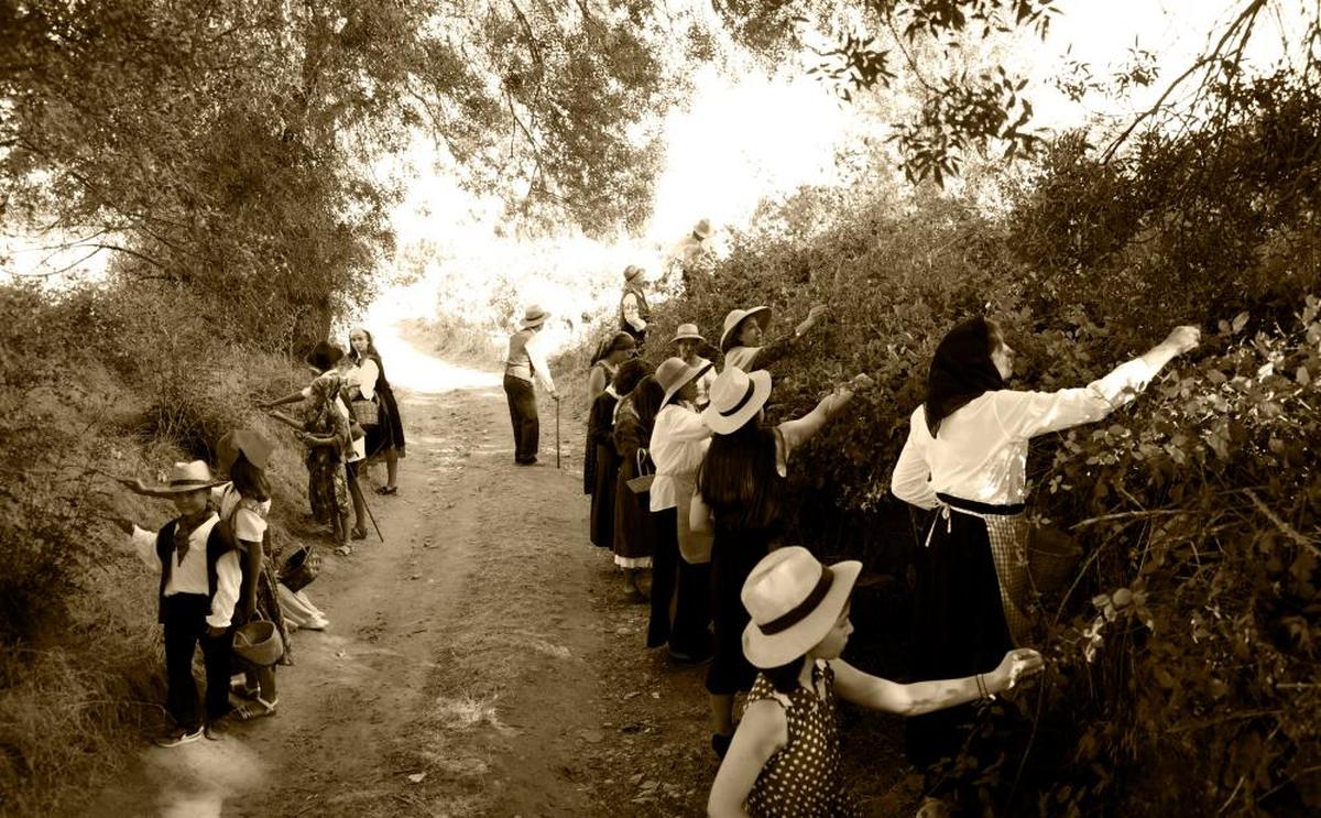 Monterrubio de la Sierra obtuvo una mención especial.