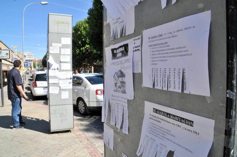 Varios anuncios de viviendas ‘pegados’ en farolas.