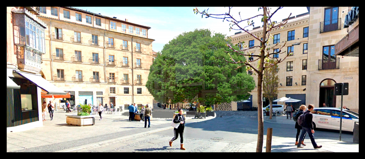 Recreación digital del “Árbol de Salamanca” que se plantará en la plaza de Poeta Iglesias