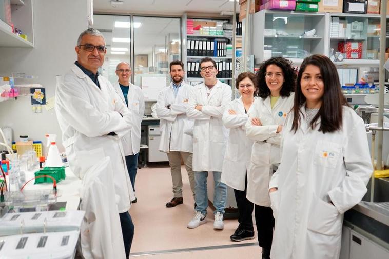La aplicación creada en Salamanca para analizar alteraciones en las células cancerosas