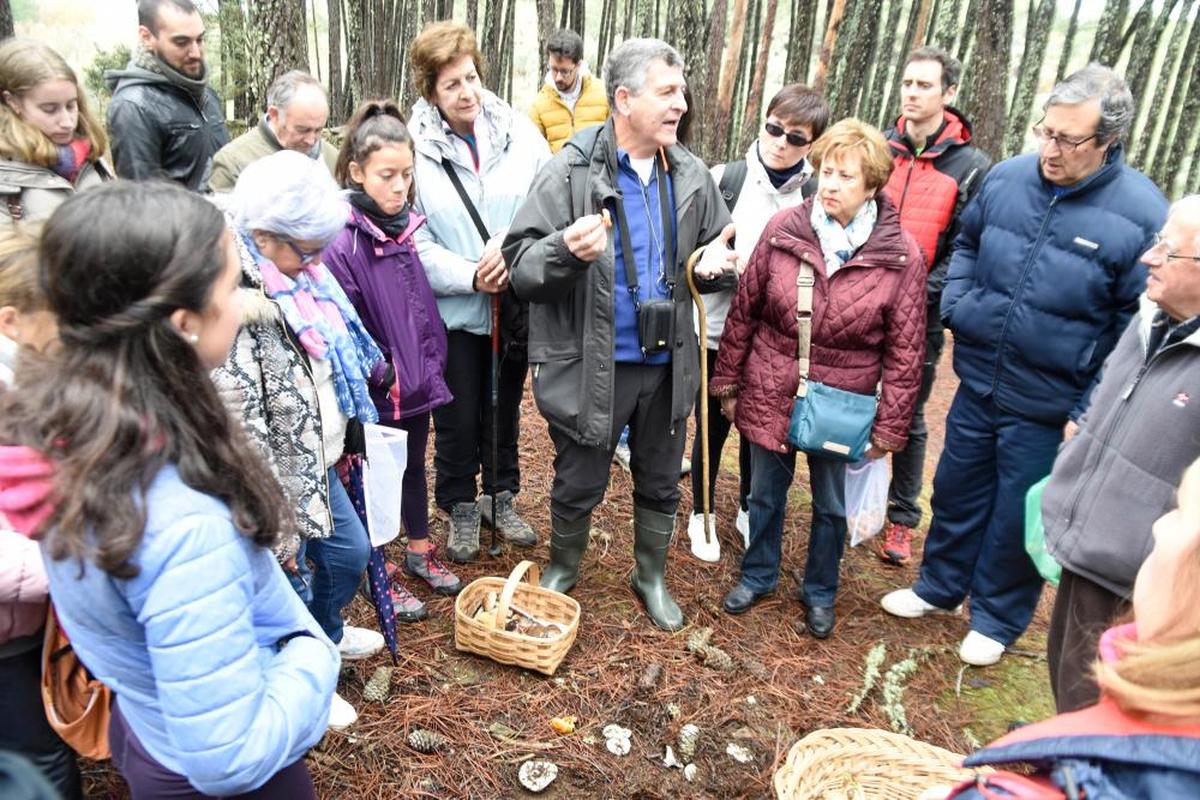 El micólogo, Gómez Risueño, con aficionados a las setas en una jornada de Micocyl-Diputación