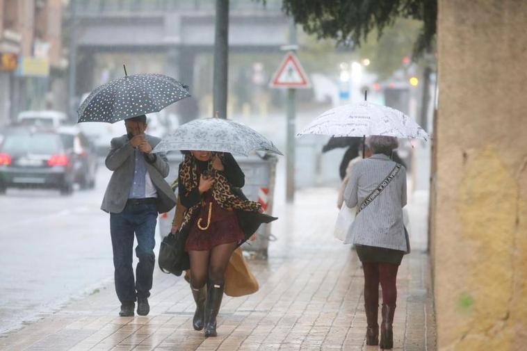 La lluvia y el viento derribaron una rama de un árbol (siguiente foto). FOTOS ALMEIDA