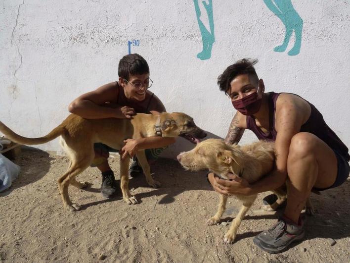 Andrea María Quintana, presidenta de la protectora, y Lucía Hernández con dos perros. archivo