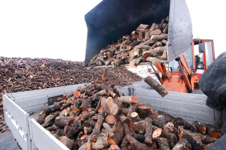 Toneladas de leña en una empresa de fabricación de pellet y distribución de leña.