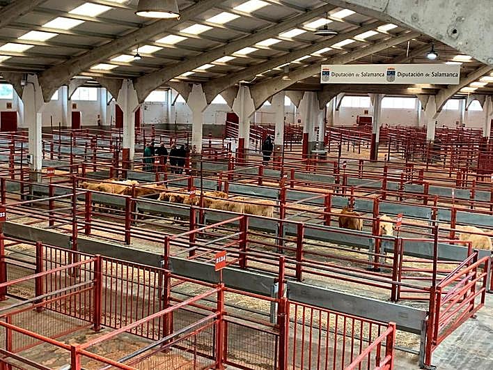 Imagen del mercado casi vacío, el 14 de marzo, cuando hubo solo 76 reses por la huelga de transportistas