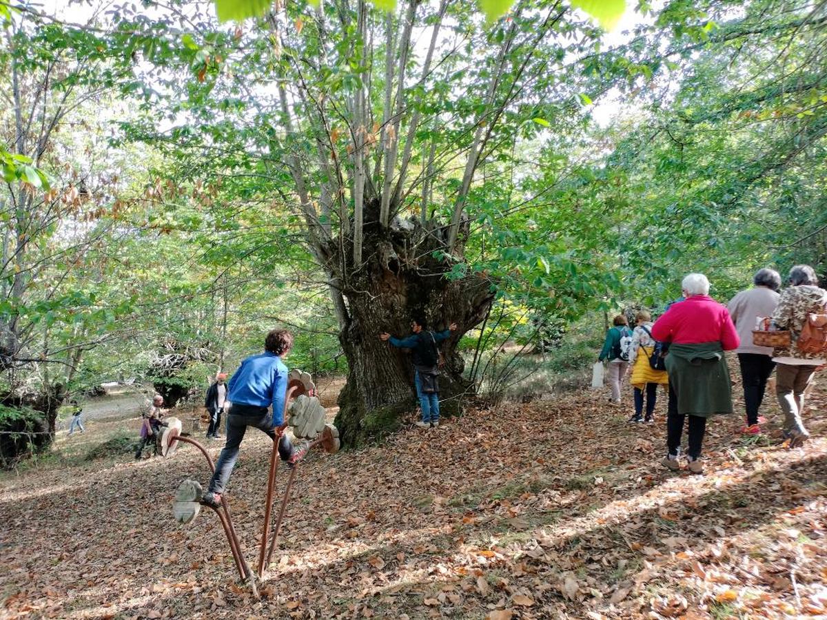 Imagen del castaño del Tío Trazas en la pasada fiesta del otoño celebrada en la localidad