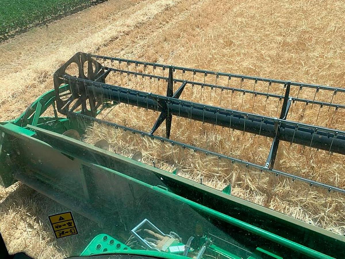 ‘Bajonazo’ de los cereales