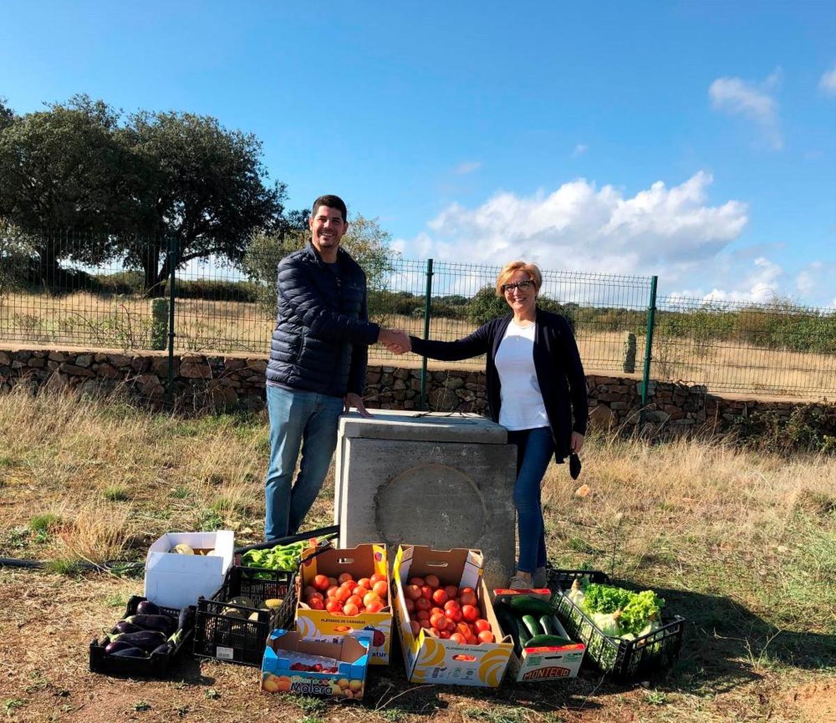 Productos cultivados en el huerto sostenible de Berkeley Minera España en Retortillo.