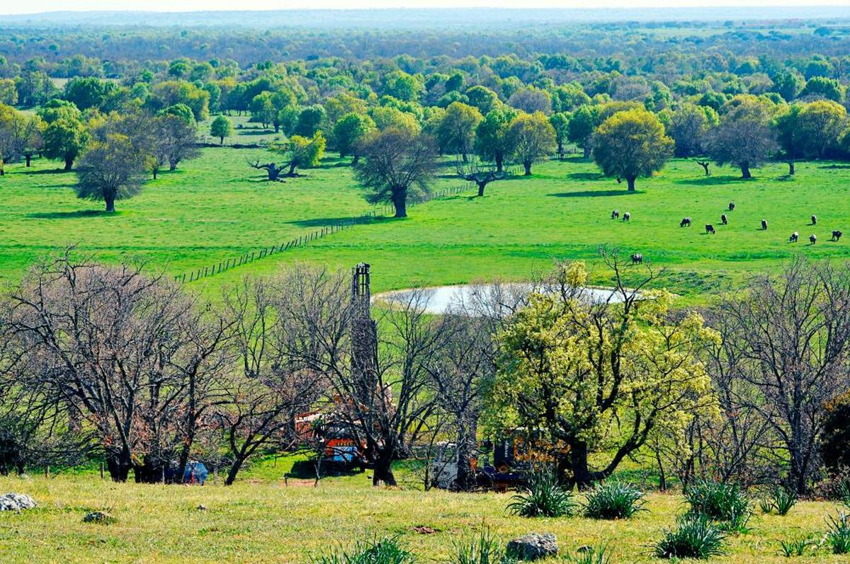 Vista de uno de los sondeos de Berkeley en Salamanca.