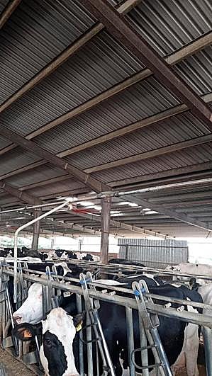 Una granja de vacas lecheras en Salamanca