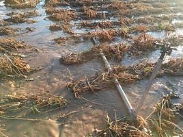 El campo anegado por las lluvias.
