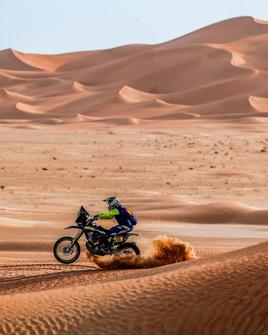 Santolino vuela sobre las dunas del desierto