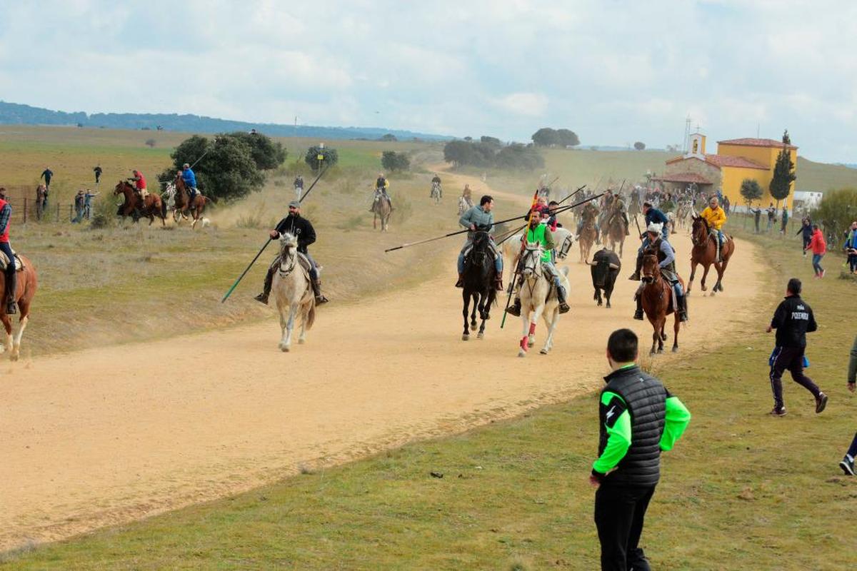 Domingo de Carnaval. El encierro con caballos del Domingo de Carnaval congrega en Ciudad Rodrigo a más 40.000 personas.