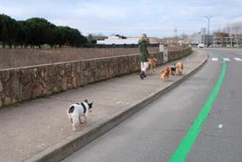 Una mujer camina con sus perros por la zona con nuevos carriles de la urbanización del campo de golf