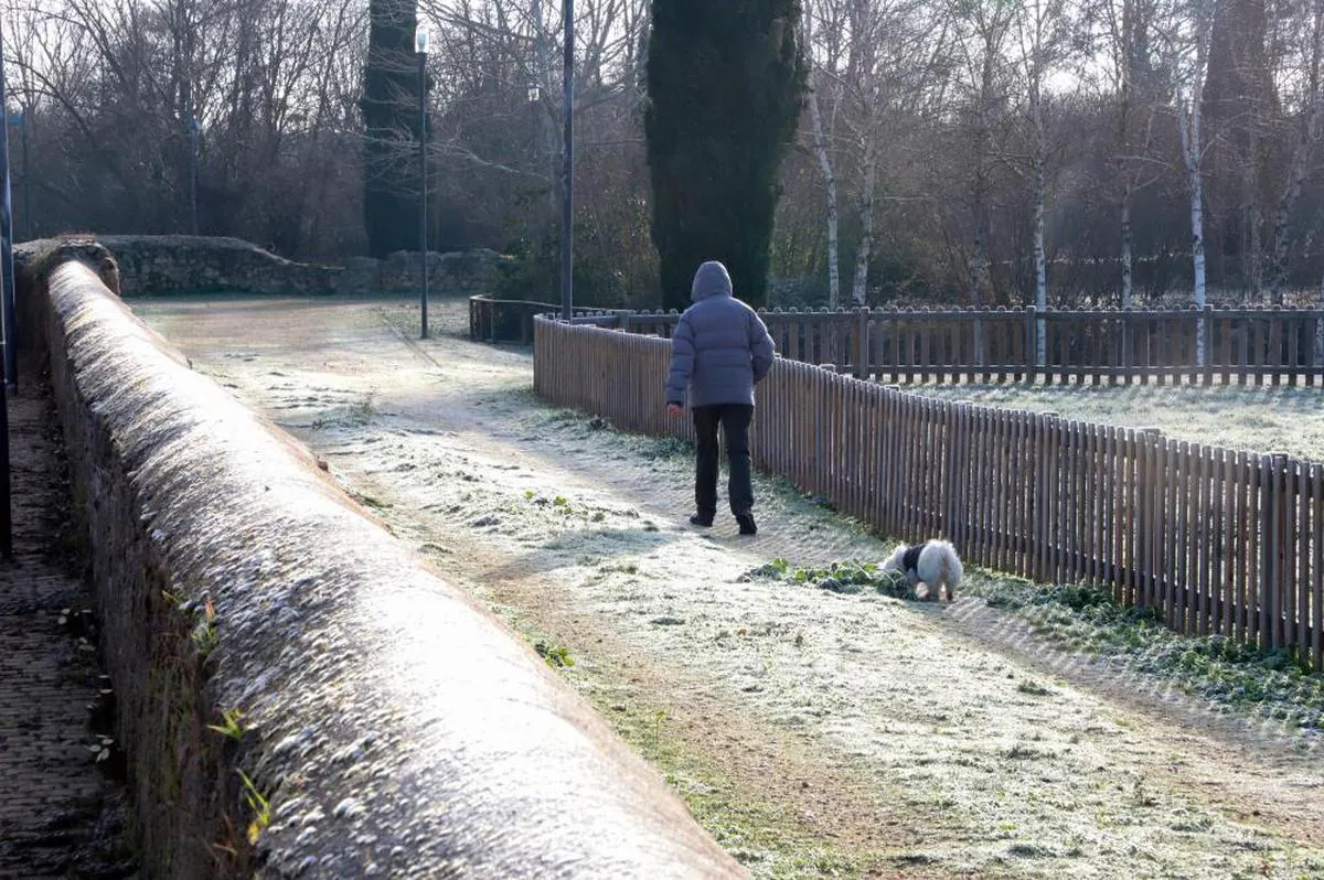 Un hombre camina con su perro por el Paseo Fluvial