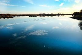Humedal del parque nacional de las Tablas de Daimiel.