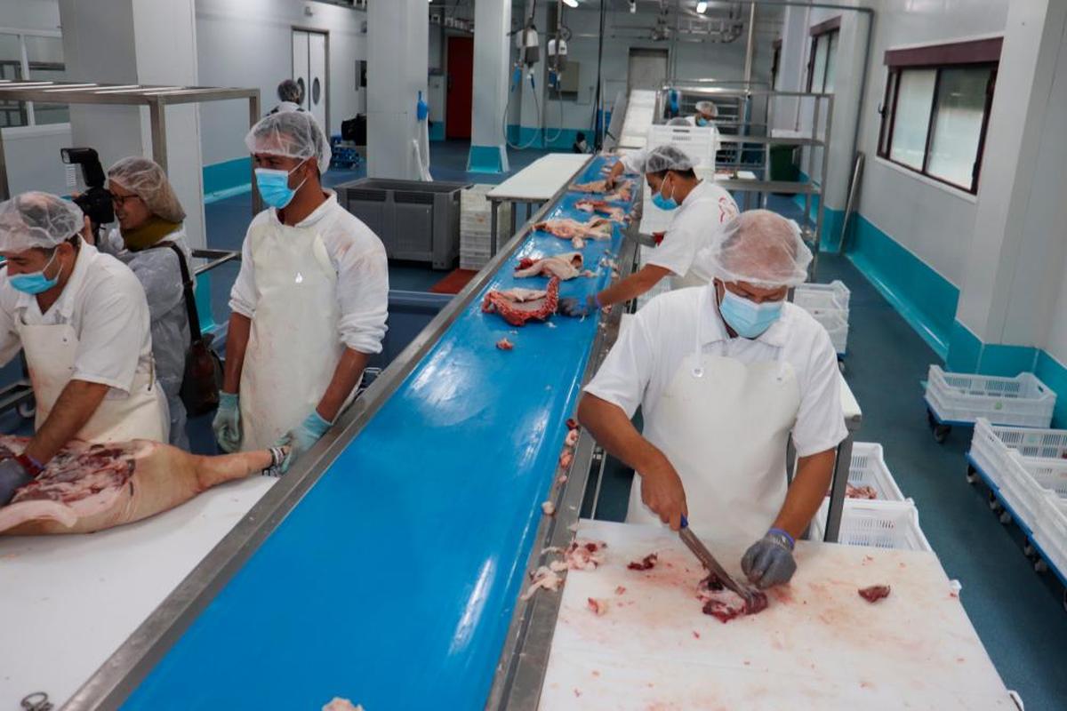 Actividad en la sala de despiece de una industria de Guijuelo. TEL