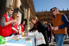 Actividades en Salamanca por el Día Internacional contra el Cáncer Infantil