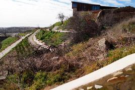 Maleza en la zona donde está prevista la construcción de los huertos en el Cerro de San Vicente