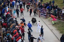 ‘Romino’ protagoniza un Toro del Antruejo de más a menos