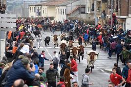 Una imagen del encierro de este sábado del Carnaval del Toro