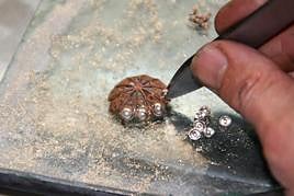 El artesano coloca las casquillas durante el proceso de creación de un botón charro.