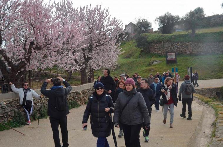 De ruta por el manto floral de los Almendros en La Fregeneda