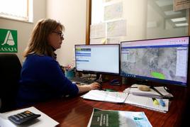 Rebeca Bustillo, técnica de la organización agraria ASAJA, ayer trabajando en una solicitud de la PAC.