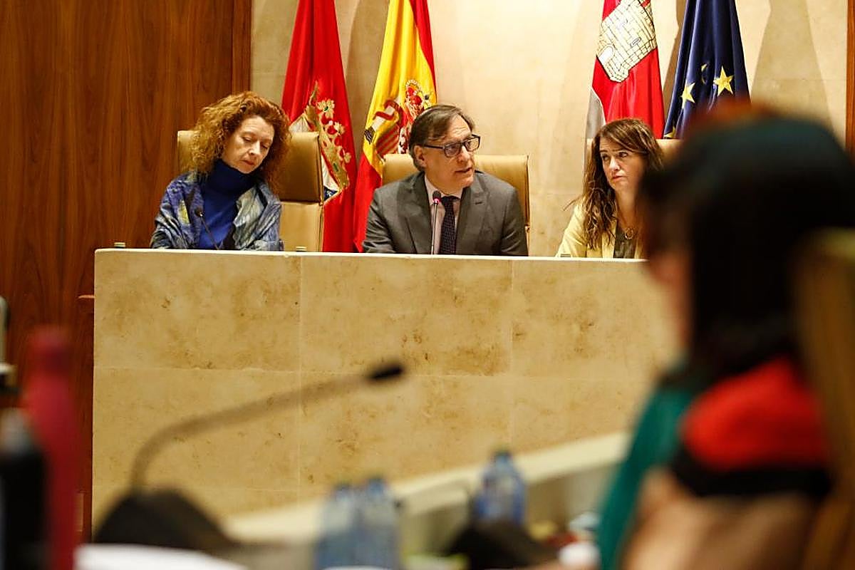 Ana Suárez, Carlos García Carbayo y María Victoria Berjemo, durante la sesión plenaria del Ayuntamiento