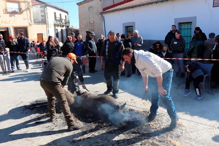 Los pueblos de Salamanca disfrutan de sus matanzas típicas