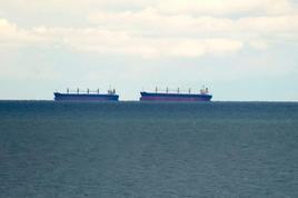 Buques de exportación de cereales en el mar Negro