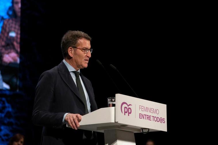 El motivo por el que Feijóo no apoyará la moción de censura de Vox