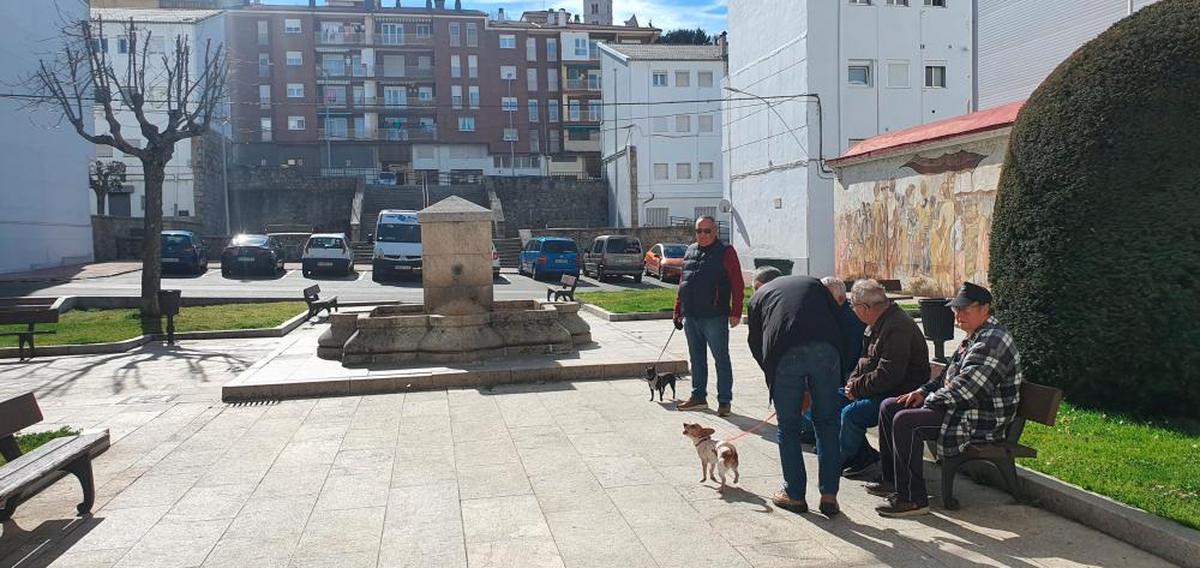 Dueños de perros, con sus mascotas, en la plaza Primero de mayor de Béjar.