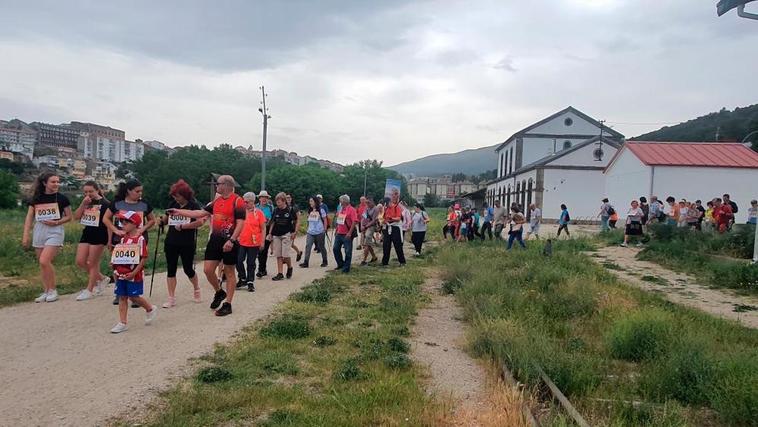 Las dos opciones para que regrese el tren Salamanca-Plasencia
