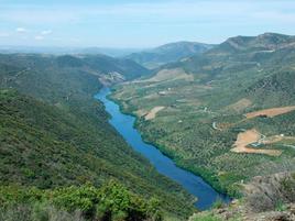 Vistas panorámicas del rico entorno.