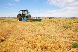 Los agricultores de Castilla y León recibirán 69 millones de euros