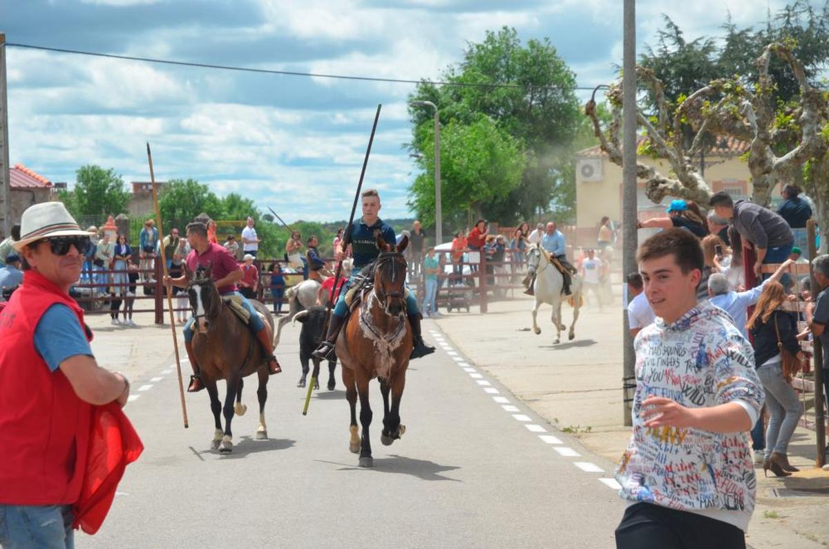 Llegada repentina de caballistas y un novillo al trazado urbano del recorrido.