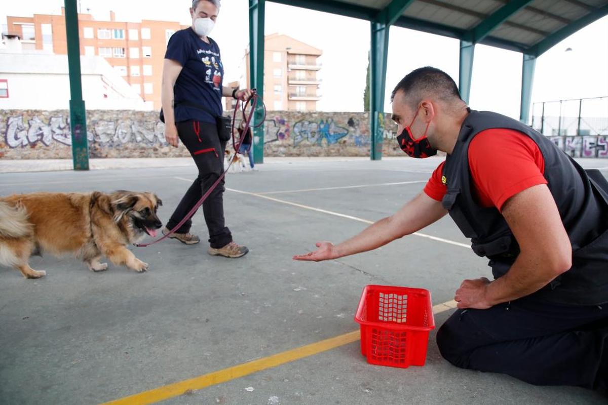 Taller de la Oficina Municipal de Bienestar Animal