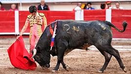 El empaque del novillero Marco Pérez en un extraordinario muletazo al de Fernando de la Mora.