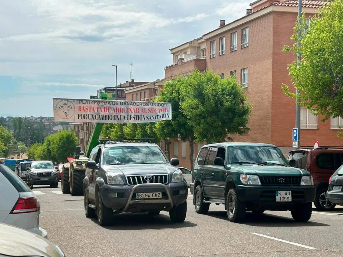 La Protesta Ganadera Colapsa El Centro De Salamanca Con Más De 700 ...