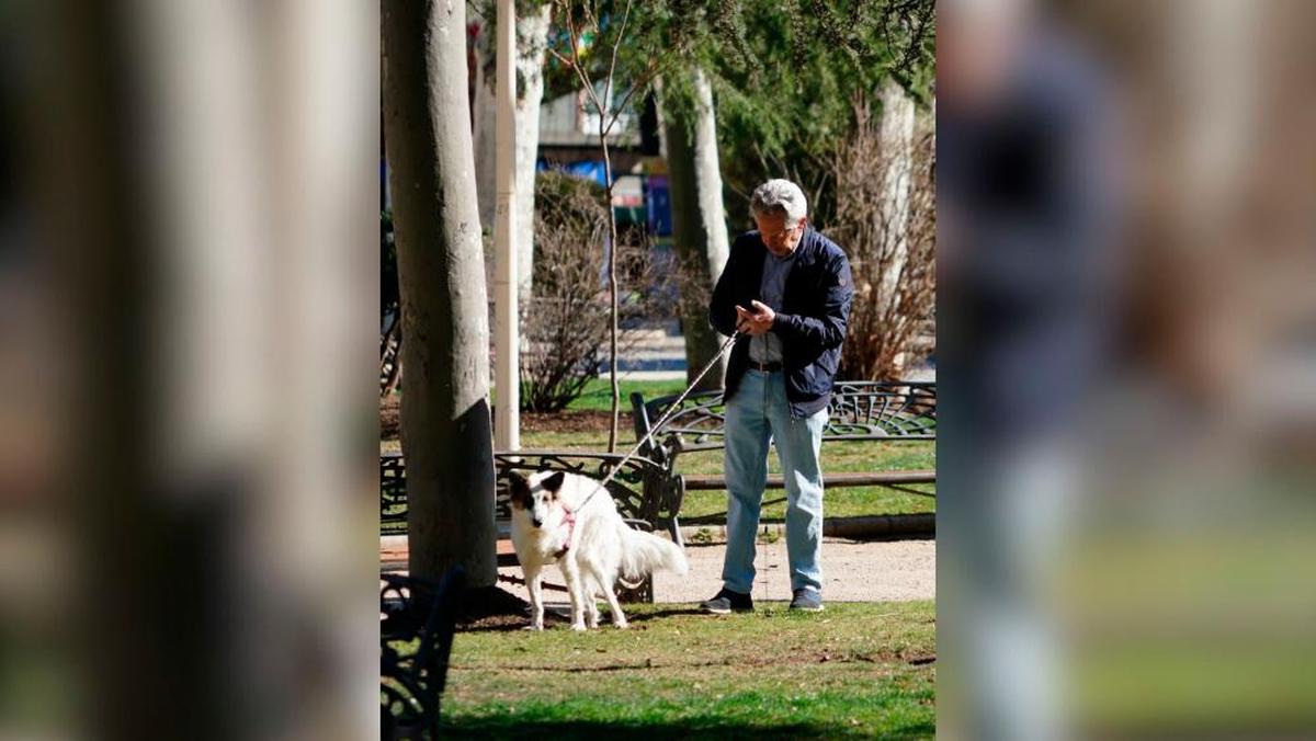Un salmantino pasea a su perro por un parque de la ciudad