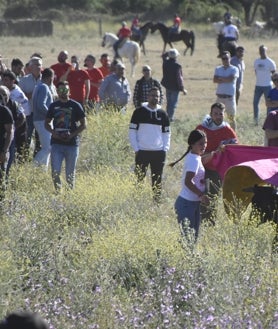 Imagen secundaria 2 - Así ha sido el encierro de las fiestas de Águeda