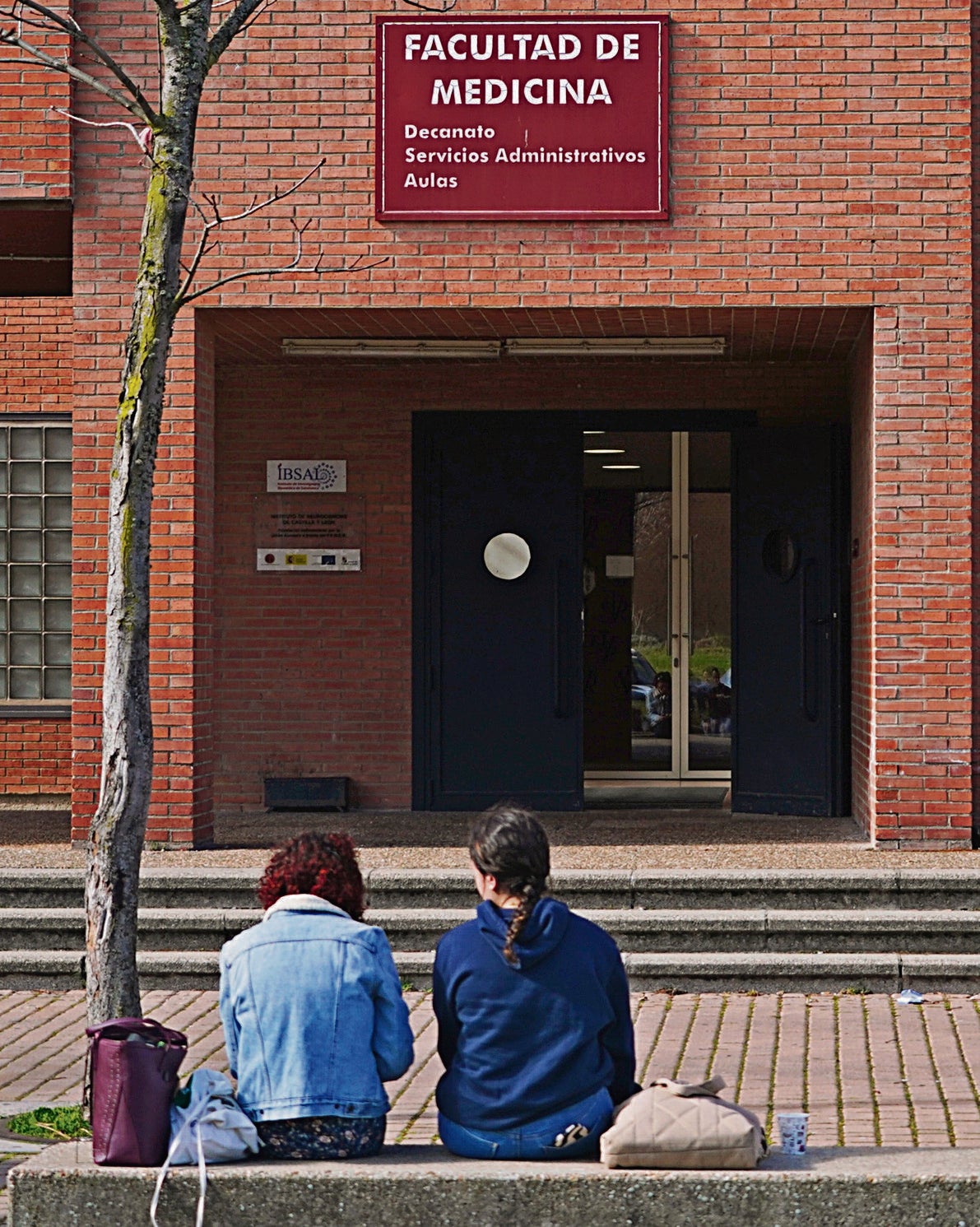 Una imagen de la Facultad de Medicina.