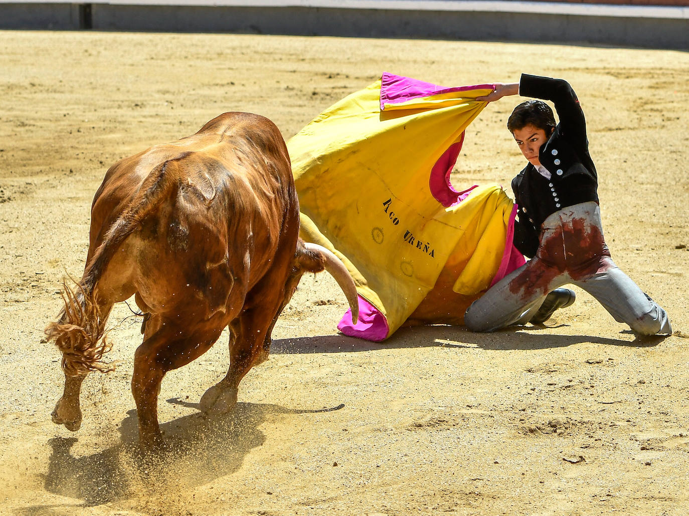 Las mejores imágenes del increíble debut de Marco Pérez en Las Ventas