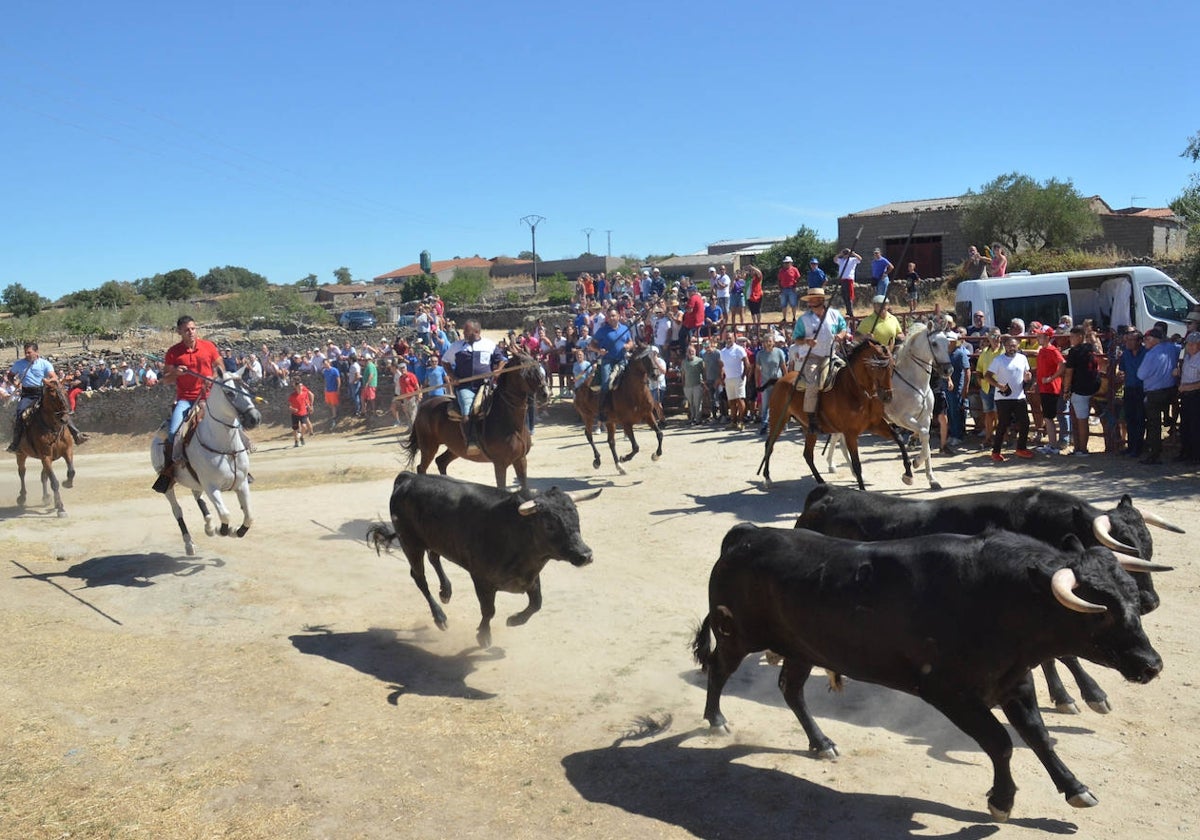 Encierro a caballo durante las fiestas de verano de Lumbrales